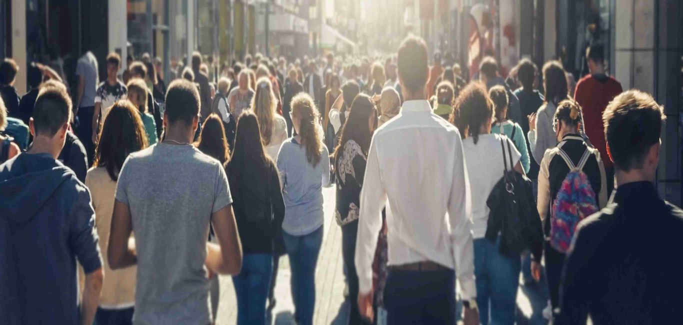Image of Consumer Insight