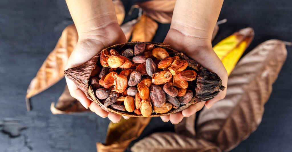 Cocoa Shortage, Alternative Source, Chocolate Alternatives, Rising Prices, Natural Alternatives, Flavors, Consumer Insights, FMCG.