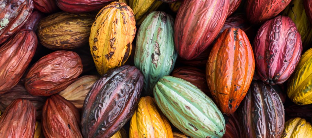 Cocoa Shortage, Alternative Source, Chocolate Alternatives, Rising Prices, Natural Alternatives, Flavors, Consumer Insights, FMCG.