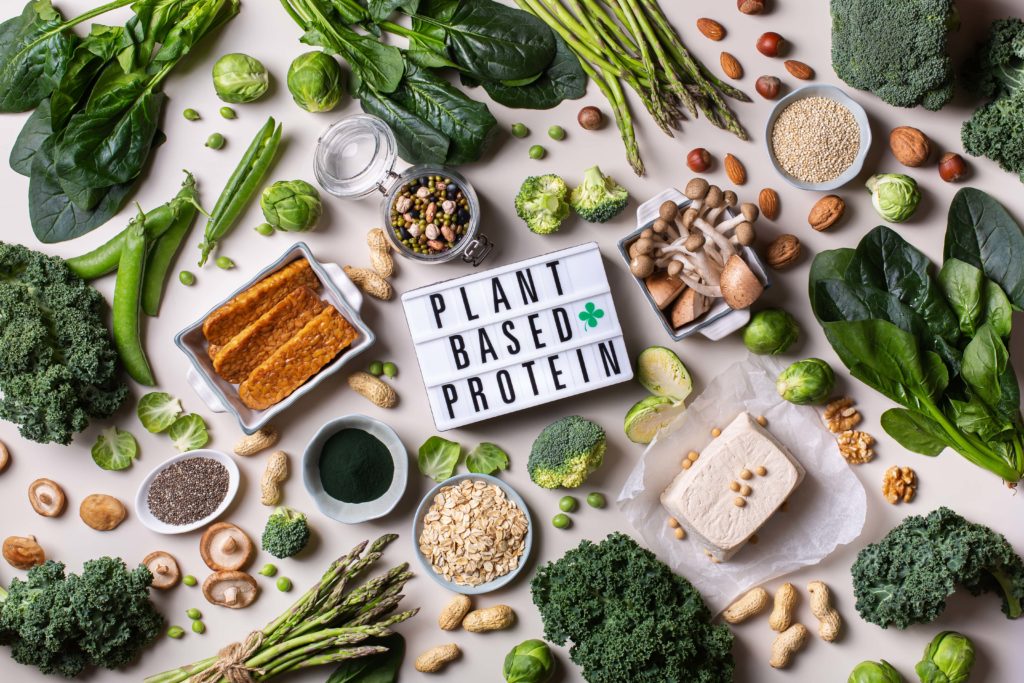 Plant-Based Protein, Nutrition, Environmental Concerns, Sustainability, FMCG, Consumer Insights, Market Research.